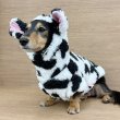 画像4: ダックスフンド 服 ウシさん ボアパーカー Ｔシャツ 小型犬 中型犬 S M L XL 春夏秋冬 ダックス おしゃれ 犬 洋服 doggystar ドッギースター 即日発送出来ます (4)