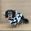 画像6: ダックスフンド 服 ウシさん ボアパーカー Ｔシャツ 小型犬 中型犬 S M L XL 春夏秋冬 ダックス おしゃれ 犬 洋服 doggystar ドッギースター 即日発送出来ます (6)