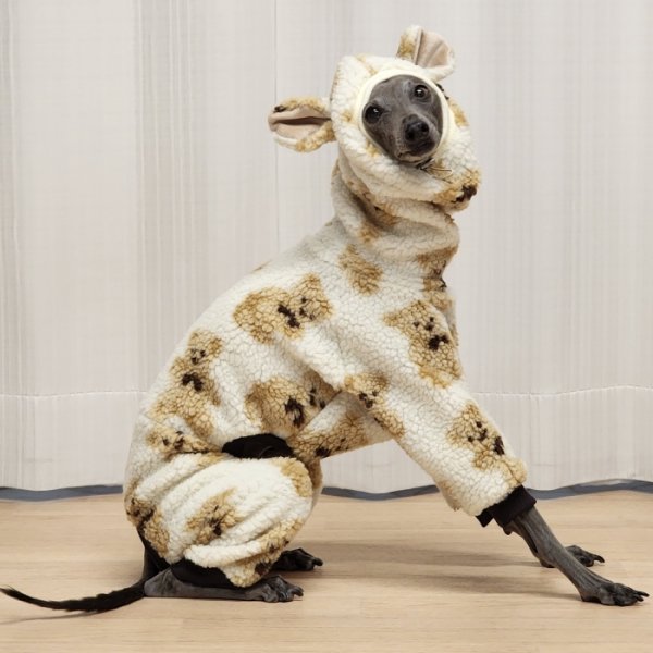 画像35: イタグレ服 S M L XL 2XL 3XL くまさん フリース ロンパース つなぎ 小型犬 中型犬 大型犬 冬服 韓国犬服 doggystar ドッギースター 9月初旬発送出来ます (35)