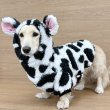 画像10: ダックスフンド 服 ウシさん ボアパーカー Ｔシャツ 小型犬 中型犬 S M L XL 春夏秋冬 ダックス おしゃれ 犬 洋服 doggystar ドッギースター 即日発送出来ます (10)