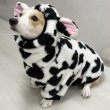 画像10: ウェルシュ コーギー 服 ウシさんボアパーカー Tシャツ 2XL 3XL 4XL 5XL中型犬 大型犬 秋冬 コーギー おしゃれ 犬服 doggystar ドッギースター  即日発送出来ます (10)