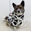 画像5: ウェルシュ コーギー 服 ウシさんボアパーカー Tシャツ 2XL 3XL 4XL 5XL中型犬 大型犬 秋冬 コーギー おしゃれ 犬服 doggystar ドッギースター  即日発送出来ます (5)