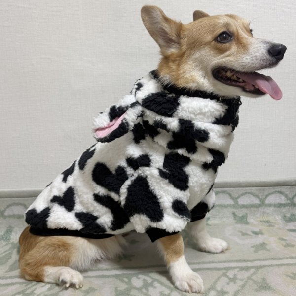 画像9: ウェルシュ コーギー 服 ウシさんボアパーカー Tシャツ 2XL 3XL 4XL 5XL中型犬 大型犬 秋冬 コーギー おしゃれ 犬服 doggystar ドッギースター  即日発送出来ます (9)