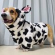 画像12: ウェルシュ コーギー 服 ウシさんボアパーカー Tシャツ 2XL 3XL 4XL 5XL中型犬 大型犬 秋冬 コーギー おしゃれ 犬服 doggystar ドッギースター  即日発送出来ます (12)