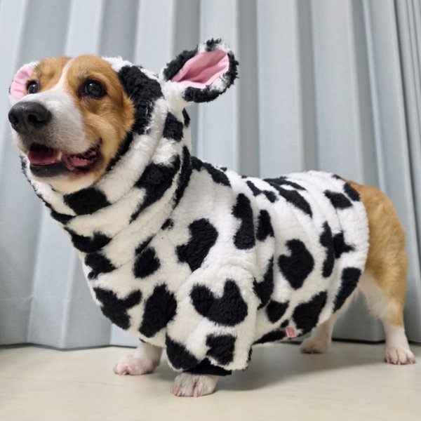 画像12: ウェルシュ コーギー 服 ウシさんボアパーカー Tシャツ 2XL 3XL 4XL 5XL中型犬 大型犬 秋冬 コーギー おしゃれ 犬服 doggystar ドッギースター  即日発送出来ます (12)