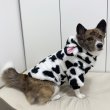 画像4: ウェルシュ コーギー 服 ウシさんボアパーカー Tシャツ 2XL 3XL 4XL 5XL中型犬 大型犬 秋冬 コーギー おしゃれ 犬服 doggystar ドッギースター  即日発送出来ます (4)