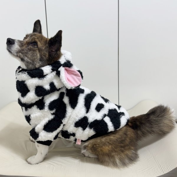 画像3: ウェルシュ コーギー 服 ウシさんボアパーカー Tシャツ 2XL 3XL 4XL 5XL中型犬 大型犬 秋冬 コーギー おしゃれ 犬服 doggystar ドッギースター  即日発送出来ます (3)