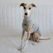 画像10: イタグレ服 S M L XL 2XL 3XL 無地リブ地タンクトップ Tシャツ 小型犬 中型犬 大型犬 春 夏服 doggystar ドッギースター ９/２８より発送 (10)
