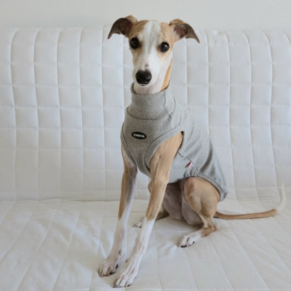 画像10: イタグレ服 S M L XL 2XL 3XL 無地リブ地タンクトップ Tシャツ 小型犬 中型犬 大型犬 春 夏服 doggystar ドッギースター ９/２８より発送 (10)