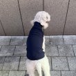 画像18: イタグレ服 S M L XL 2XL 3XL 無地リブ地タンクトップ Tシャツ 小型犬 中型犬 大型犬 春 夏服 doggystar ドッギースター ９/２８より発送 (18)