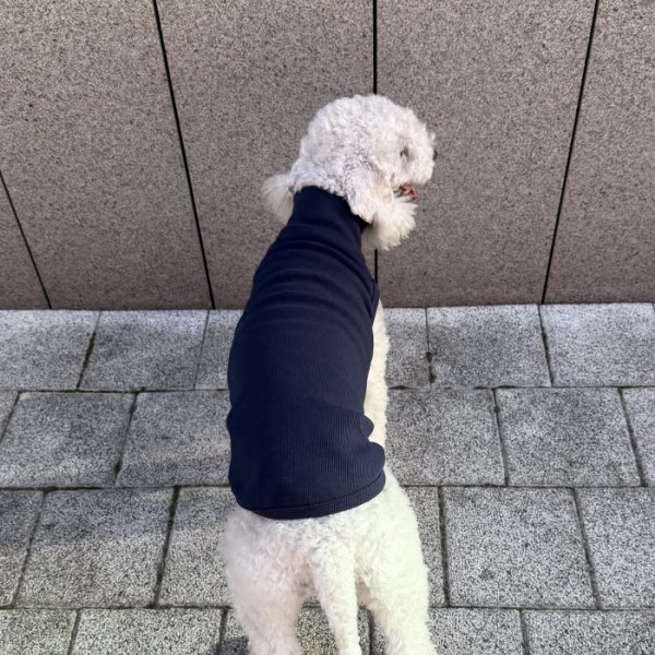 画像18: イタグレ服 S M L XL 2XL 3XL 無地リブ地タンクトップ Tシャツ 小型犬 中型犬 大型犬 春 夏服 doggystar ドッギースター ９/２８より発送 (18)