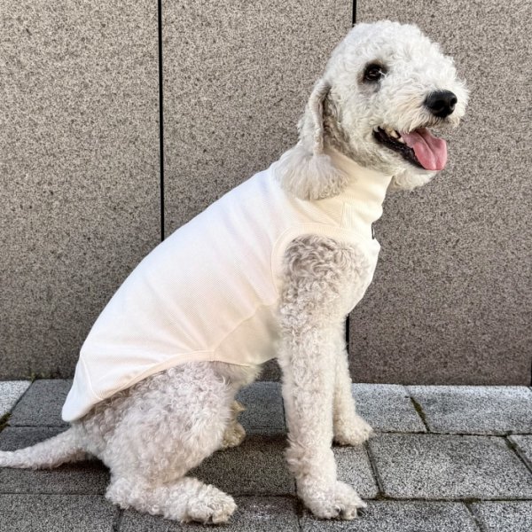 画像24: イタグレ服 S M L XL 2XL 3XL 無地リブ地タンクトップ Tシャツ 小型犬 中型犬 大型犬 春 夏服 doggystar ドッギースター ９/２８より発送 (24)