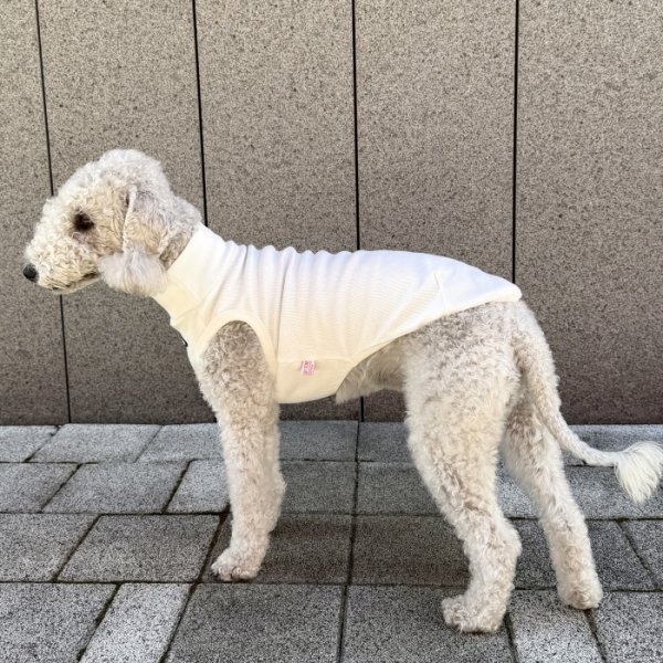 画像26: イタグレ服 S M L XL 2XL 3XL 無地リブ地タンクトップ Tシャツ 小型犬 中型犬 大型犬 春 夏服 doggystar ドッギースター ９/２８より発送 (26)