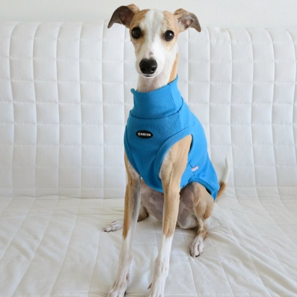 画像34: イタグレ服 S M L XL 2XL 3XL 無地リブ地タンクトップ Tシャツ 小型犬 中型犬 大型犬 春 夏服 doggystar ドッギースター ９/２８より発送 (34)