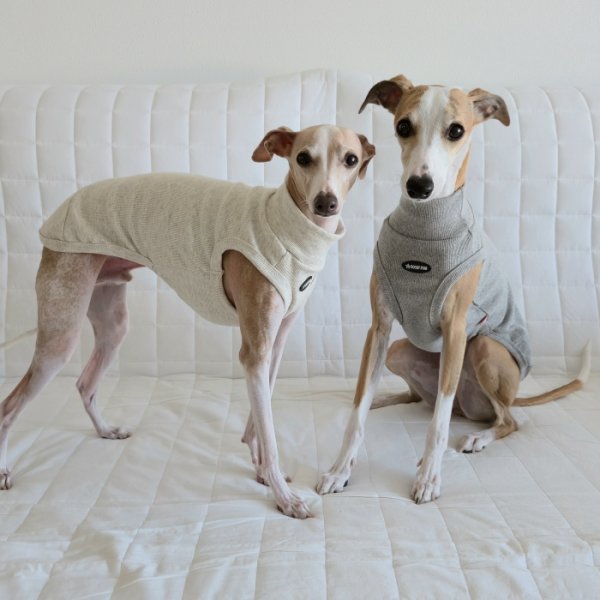 画像3: イタグレ服 S M L XL 2XL 3XL 無地リブ地タンクトップ Tシャツ 小型犬 中型犬 大型犬 春 夏服 doggystar ドッギースター ９/２８より発送 (3)