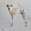 画像2: イタグレ服 S M L XL 2XL 3XL 無地リブ地タンクトップ Tシャツ 小型犬 中型犬 大型犬 春 夏服 doggystar ドッギースター ９/２８より発送 (2)