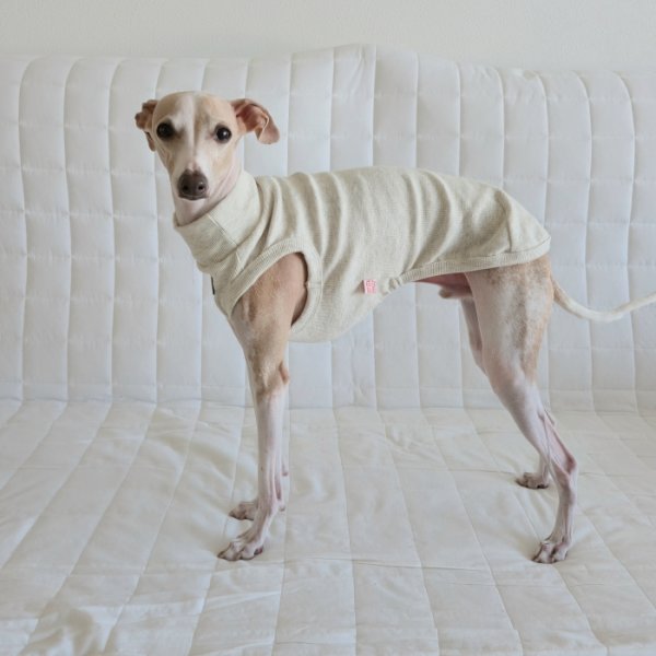 画像2: イタグレ服 S M L XL 2XL 3XL 無地リブ地タンクトップ Tシャツ 小型犬 中型犬 大型犬 春 夏服 doggystar ドッギースター ９/２８より発送 (2)