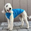 画像31: イタグレ服 S M L XL 2XL 3XL 無地リブ地タンクトップ Tシャツ 小型犬 中型犬 大型犬 春 夏服 doggystar ドッギースター ９/２８より発送 (31)