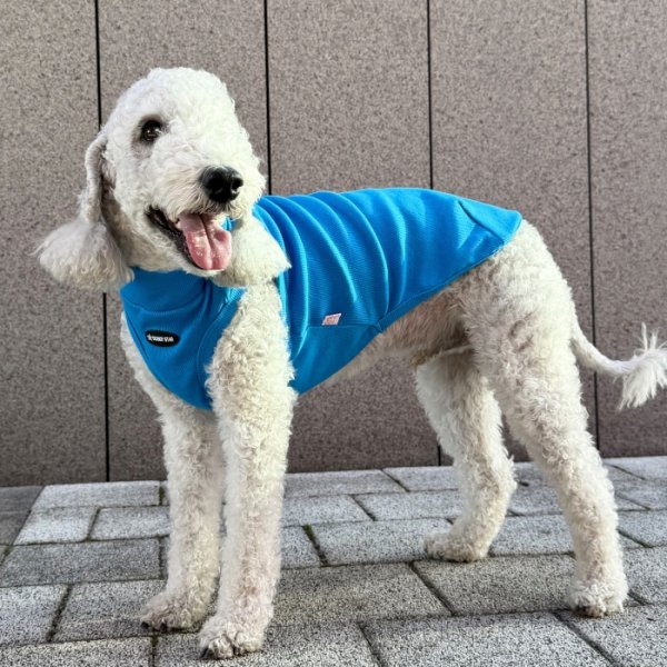 画像31: イタグレ服 S M L XL 2XL 3XL 無地リブ地タンクトップ Tシャツ 小型犬 中型犬 大型犬 春 夏服 doggystar ドッギースター ９/２８より発送 (31)