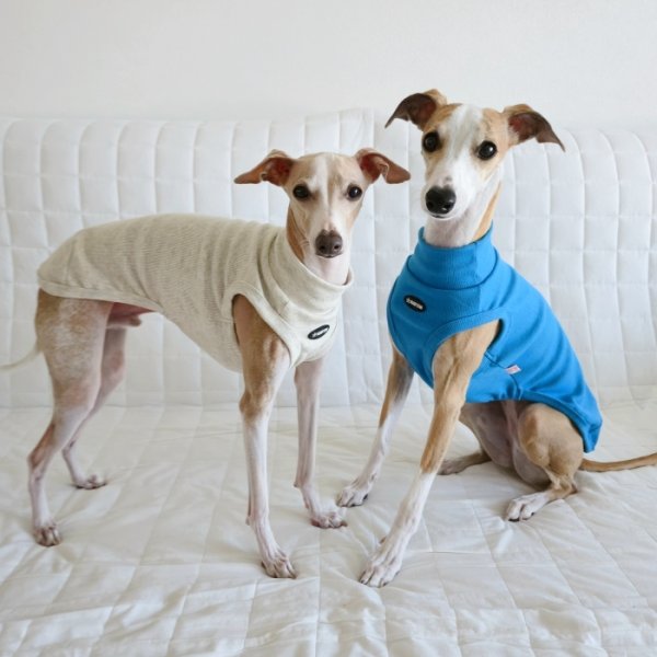 画像30: イタグレ服 S M L XL 2XL 3XL 無地リブ地タンクトップ Tシャツ 小型犬 中型犬 大型犬 春 夏服 doggystar ドッギースター ９/２８より発送 (30)