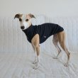 画像19: イタグレ服 S M L XL 2XL 3XL 無地リブ地タンクトップ Tシャツ 小型犬 中型犬 大型犬 春 夏服 doggystar ドッギースター ９/２８より発送 (19)