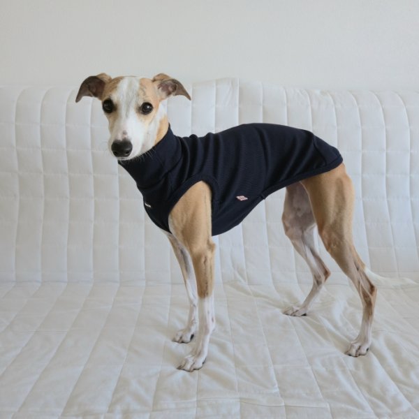 画像19: イタグレ服 S M L XL 2XL 3XL 無地リブ地タンクトップ Tシャツ 小型犬 中型犬 大型犬 春 夏服 doggystar ドッギースター ９/２８より発送 (19)
