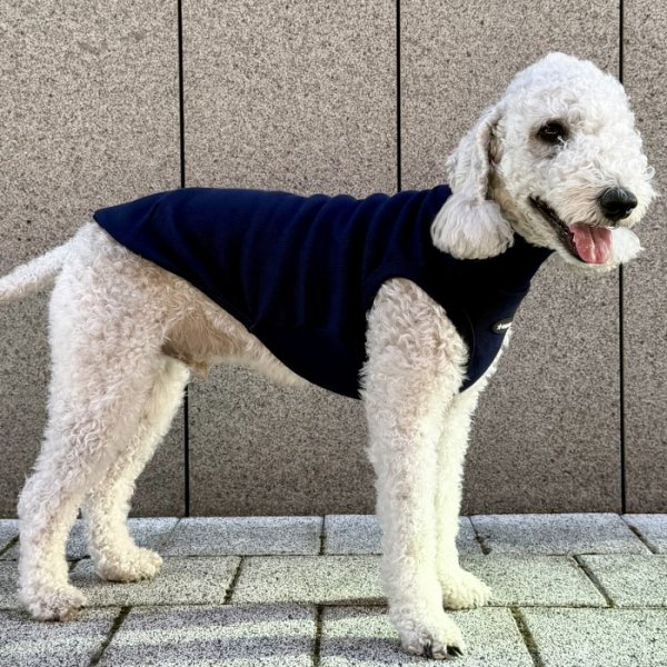 画像15: イタグレ服 S M L XL 2XL 3XL 無地リブ地タンクトップ Tシャツ 小型犬 中型犬 大型犬 春 夏服 doggystar ドッギースター ９/２８より発送 (15)