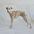 画像7: イタグレ服 S M L XL 2XL 3XL 無地リブ地タンクトップ Tシャツ 小型犬 中型犬 大型犬 春 夏服 doggystar ドッギースター ９/２８より発送 (7)