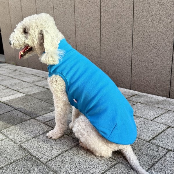 画像32: イタグレ服 S M L XL 2XL 3XL 無地リブ地タンクトップ Tシャツ 小型犬 中型犬 大型犬 春 夏服 doggystar ドッギースター ９/２８より発送 (32)