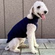 画像16: イタグレ服 S M L XL 2XL 3XL 無地リブ地タンクトップ Tシャツ 小型犬 中型犬 大型犬 春 夏服 doggystar ドッギースター ９/２８より発送 (16)