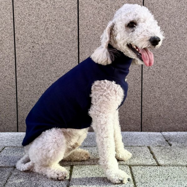 画像16: イタグレ服 S M L XL 2XL 3XL 無地リブ地タンクトップ Tシャツ 小型犬 中型犬 大型犬 春 夏服 doggystar ドッギースター ９/２８より発送 (16)