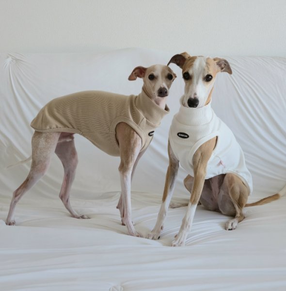 画像6: イタグレ服 S M L XL 2XL 3XL 無地リブ地タンクトップ Tシャツ 小型犬 中型犬 大型犬 春 夏服 doggystar ドッギースター ９/２８より発送 (6)