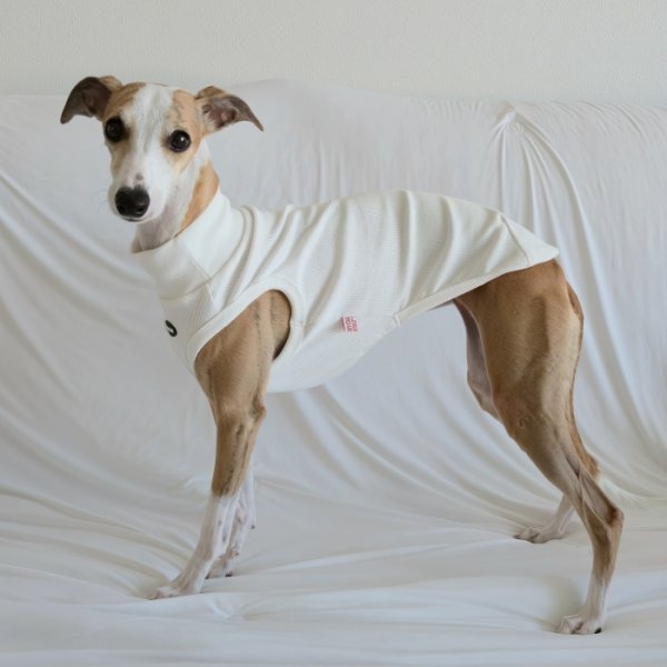 画像23: イタグレ服 S M L XL 2XL 3XL 無地リブ地タンクトップ Tシャツ 小型犬 中型犬 大型犬 春 夏服 doggystar ドッギースター ９/２８より発送 (23)