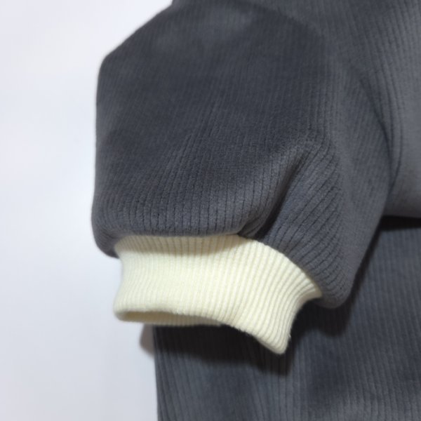 画像29: ウェルシュ コーギー 服 コーデュロイパーカー Tシャツ 2XL 3XL 4XL 5XL中型犬 大型犬 秋冬 コーギー おしゃれ 犬服 doggystar ドッギースター  10月初旬発送出来ます (29)