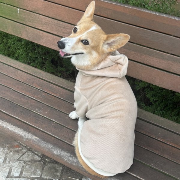 画像7: ウェルシュ コーギー 服 コーデュロイパーカー Tシャツ 2XL 3XL 4XL 5XL中型犬 大型犬 秋冬 コーギー おしゃれ 犬服 doggystar ドッギースター  10月初旬発送出来ます (7)
