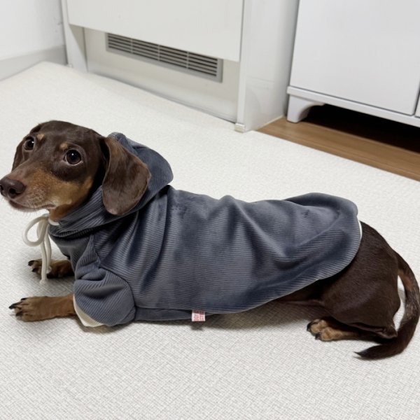 画像8: ダックスフンド 服 Tシャツ コーデュロイ パーカー 小型犬 中型犬 S M L XL 冬 ダックス おしゃれ 犬 洋服 doggystar ドッギースター 10月初旬発送 (8)
