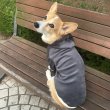 画像20: ウェルシュ コーギー 服 コーデュロイパーカー Tシャツ 2XL 3XL 4XL 5XL中型犬 大型犬 秋冬 コーギー おしゃれ 犬服 doggystar ドッギースター  10月初旬発送出来ます (20)