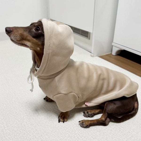 画像13: ダックスフンド 服 Tシャツ コーデュロイ パーカー 小型犬 中型犬 S M L XL 冬 ダックス おしゃれ 犬 洋服 doggystar ドッギースター 10月初旬発送 (13)