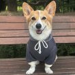 画像17: ウェルシュ コーギー 服 コーデュロイパーカー Tシャツ 2XL 3XL 4XL 5XL中型犬 大型犬 秋冬 コーギー おしゃれ 犬服 doggystar ドッギースター  10月初旬発送出来ます (17)