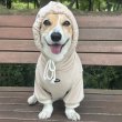 画像5: ウェルシュ コーギー 服 コーデュロイパーカー Tシャツ 2XL 3XL 4XL 5XL中型犬 大型犬 秋冬 コーギー おしゃれ 犬服 doggystar ドッギースター  10月初旬発送出来ます (5)