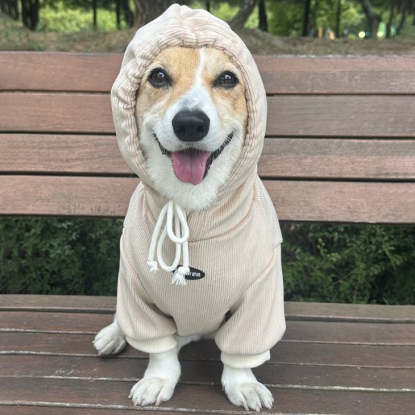 画像5: ウェルシュ コーギー 服 コーデュロイパーカー Tシャツ 2XL 3XL 4XL 5XL中型犬 大型犬 秋冬 コーギー おしゃれ 犬服 doggystar ドッギースター  10月初旬発送出来ます (5)
