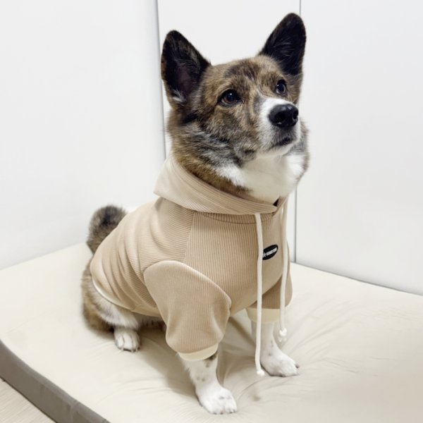 画像9: ウェルシュ コーギー 服 コーデュロイパーカー Tシャツ 2XL 3XL 4XL 5XL中型犬 大型犬 秋冬 コーギー おしゃれ 犬服 doggystar ドッギースター  10月初旬発送出来ます (9)