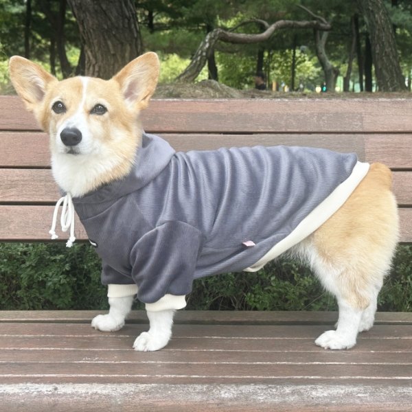 画像1: ウェルシュ コーギー 服 コーデュロイパーカー Tシャツ 2XL 3XL 4XL 5XL中型犬 大型犬 秋冬 コーギー おしゃれ 犬服 doggystar ドッギースター  10月初旬発送出来ます (1)