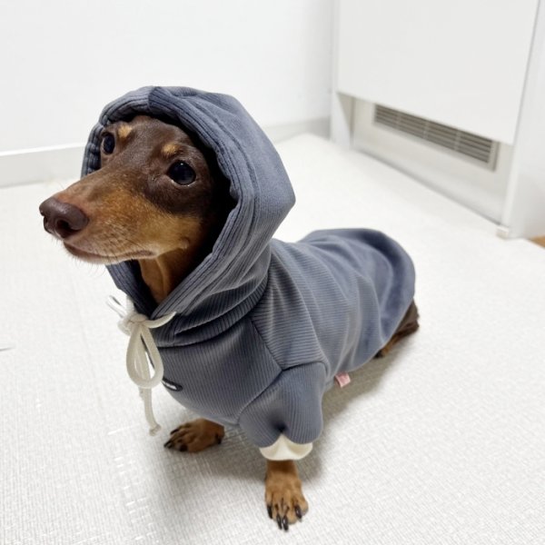画像4: ダックスフンド 服 Tシャツ コーデュロイ パーカー 小型犬 中型犬 S M L XL 冬 ダックス おしゃれ 犬 洋服 doggystar ドッギースター 10月初旬発送 (4)