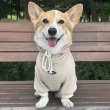画像4: ウェルシュ コーギー 服 コーデュロイパーカー Tシャツ 2XL 3XL 4XL 5XL中型犬 大型犬 秋冬 コーギー おしゃれ 犬服 doggystar ドッギースター  10月初旬発送出来ます (4)