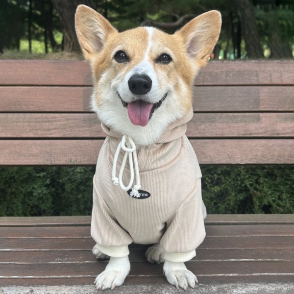 画像4: ウェルシュ コーギー 服 コーデュロイパーカー Tシャツ 2XL 3XL 4XL 5XL中型犬 大型犬 秋冬 コーギー おしゃれ 犬服 doggystar ドッギースター  10月初旬発送出来ます (4)
