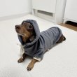 画像7: ダックスフンド 服 Tシャツ コーデュロイ パーカー 小型犬 中型犬 S M L XL 冬 ダックス おしゃれ 犬 洋服 doggystar ドッギースター 10月初旬発送 (7)