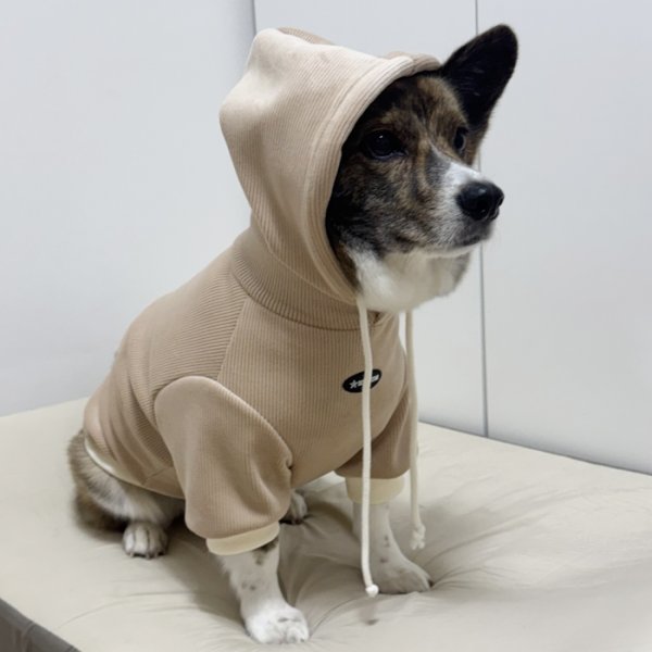画像12: ウェルシュ コーギー 服 コーデュロイパーカー Tシャツ 2XL 3XL 4XL 5XL中型犬 大型犬 秋冬 コーギー おしゃれ 犬服 doggystar ドッギースター  10月初旬発送出来ます (12)