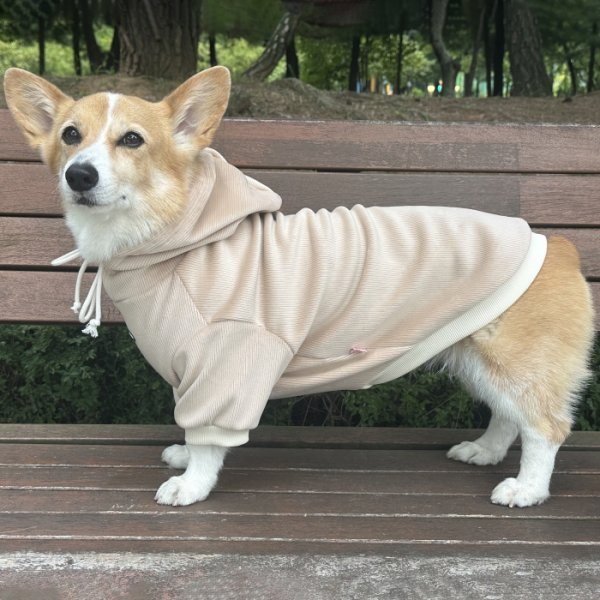 画像8: ウェルシュ コーギー 服 コーデュロイパーカー Tシャツ 2XL 3XL 4XL 5XL中型犬 大型犬 秋冬 コーギー おしゃれ 犬服 doggystar ドッギースター  10月初旬発送出来ます (8)