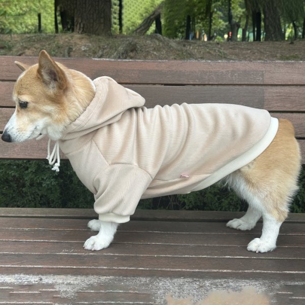画像6: ウェルシュ コーギー 服 コーデュロイパーカー Tシャツ 2XL 3XL 4XL 5XL中型犬 大型犬 秋冬 コーギー おしゃれ 犬服 doggystar ドッギースター  10月初旬発送出来ます (6)